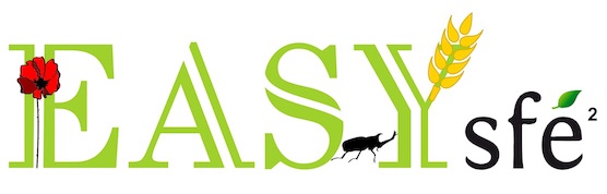 EASYs conference – Detailed schedule
